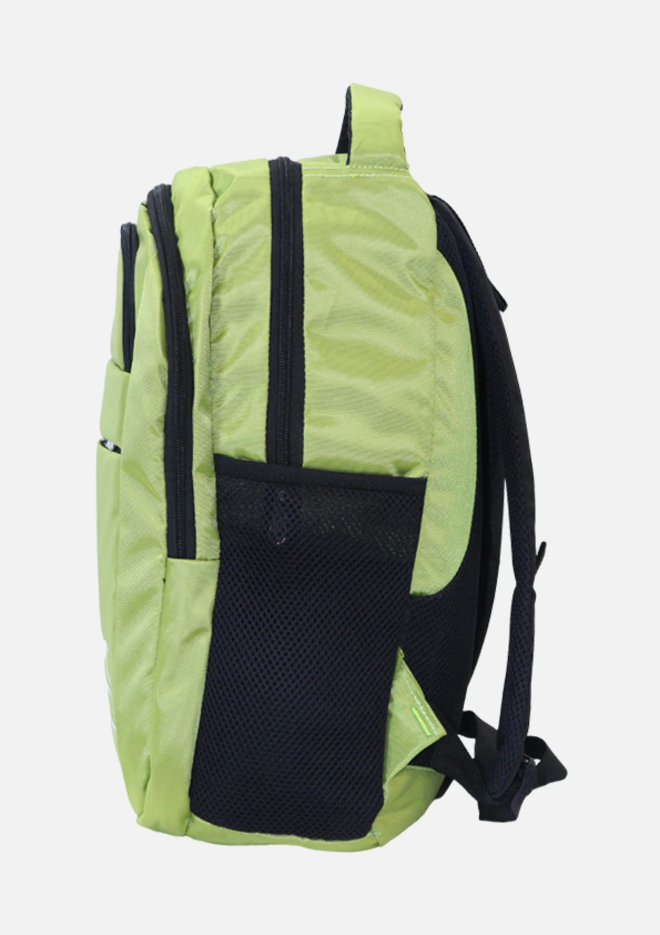 Shiv Naresh Backpack Parrot Green